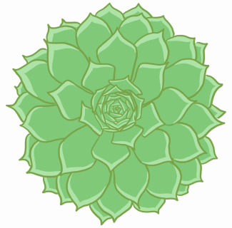 Green-Spiral-Succulent