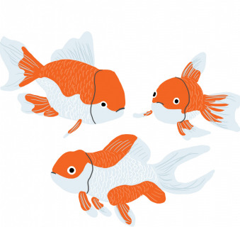 Three-Goldfish