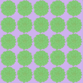 Green-Succulent-Pattern-sm